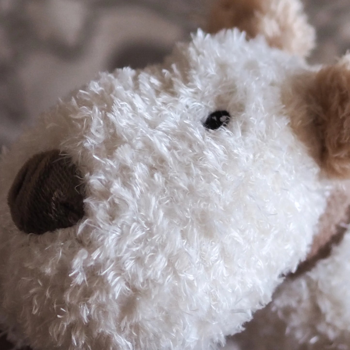 Border Loves Bingley The Gorgeous Plush Squeeky Squidgy Dog Toy