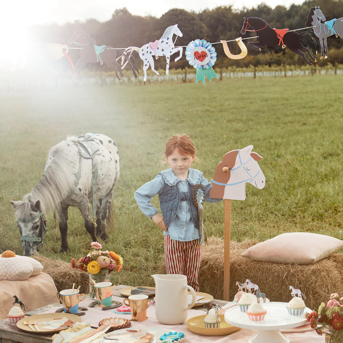 Meri Meri Horse Cupcake Kit (x24 toppers)