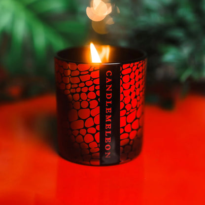Candlemeleon heat reactive candle