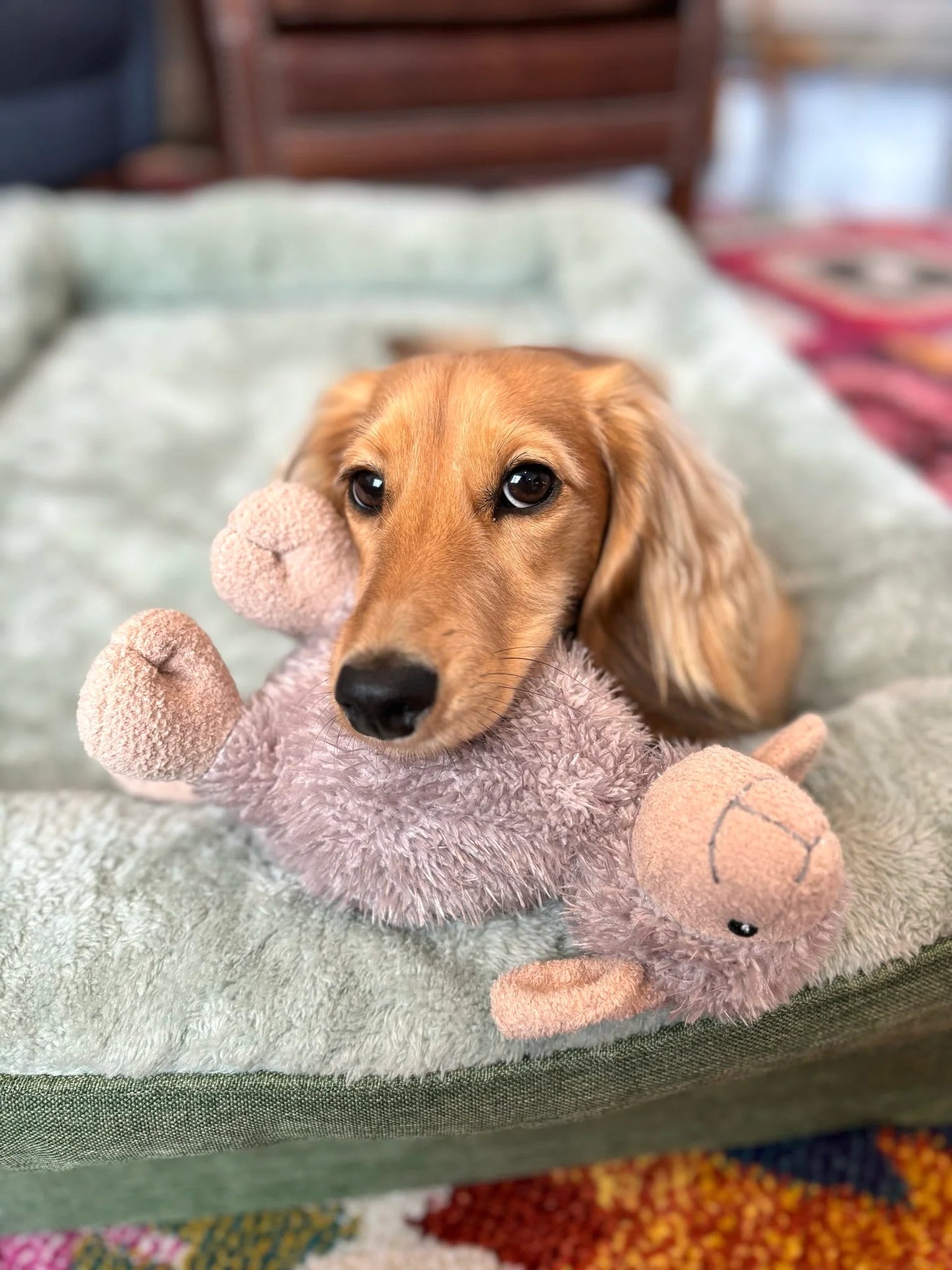 Border Loves Luxury Super Soft Lamb Toy