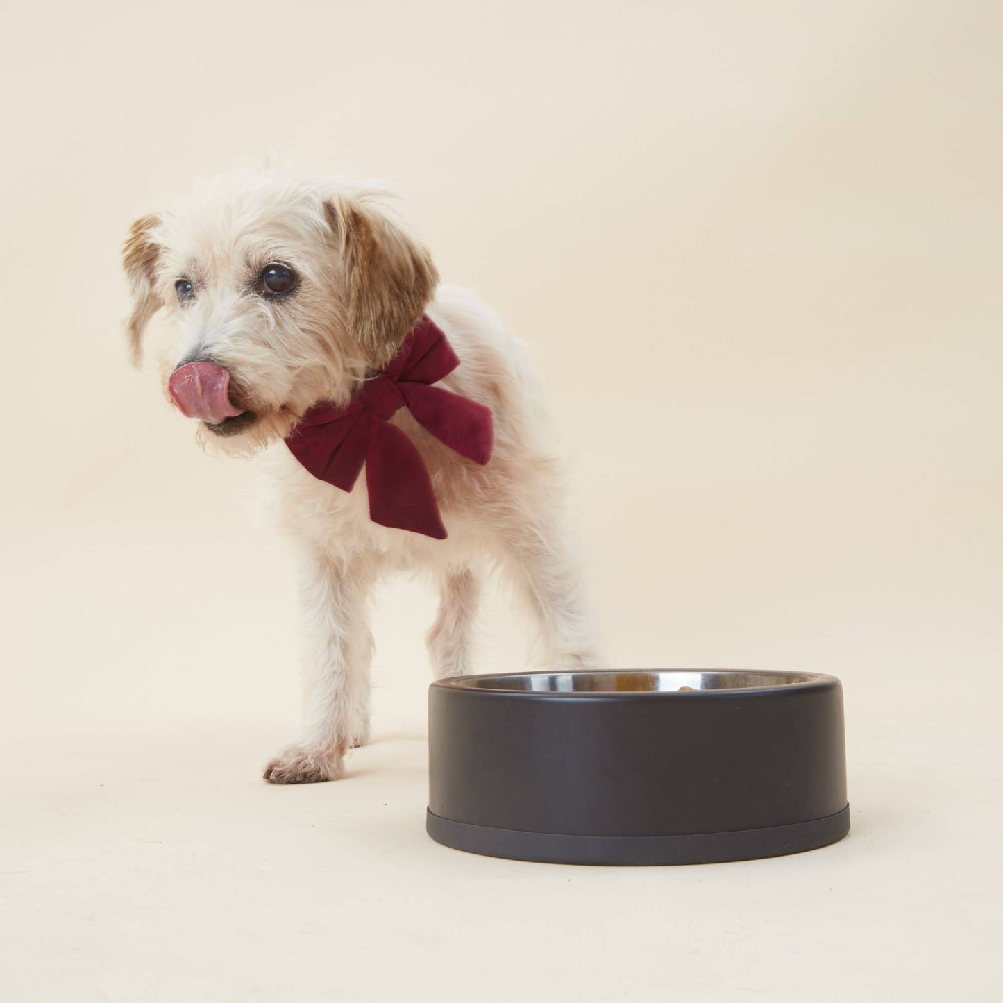 The Foggy Dog - Burgundy Velvet Valentine's Day Lady Dog Bow