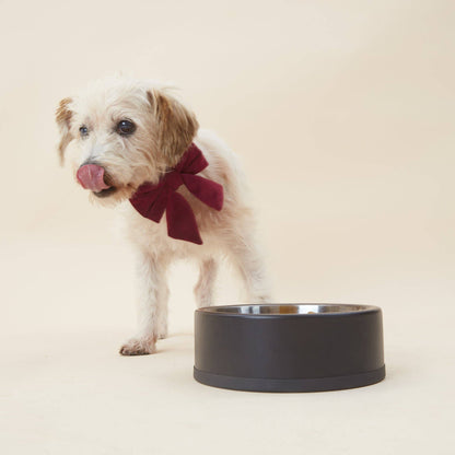 The Foggy Dog - Burgundy Velvet Valentine's Day Lady Dog Bow