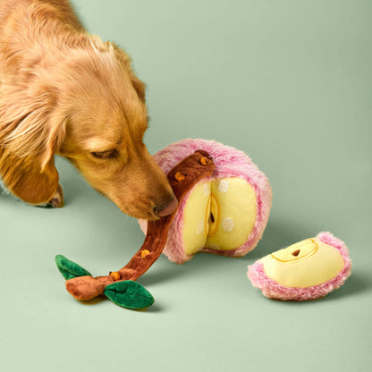 The Foggy Dog - Apple Interactive Snuffle Dog Toy