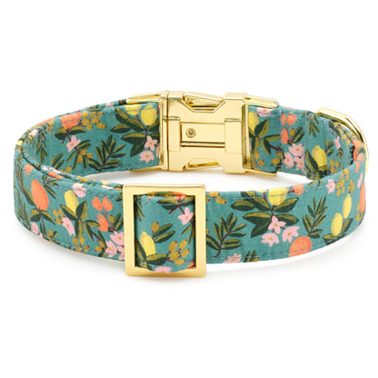 The Foggy Dog - Rifle Paper Co. x TFD Citrus Floral Dog Collar