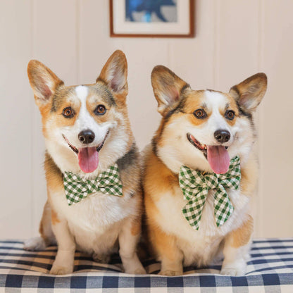 The Foggy Dog - HTH x TFD Mini Gingham Hunter Green Dog Bow Tie