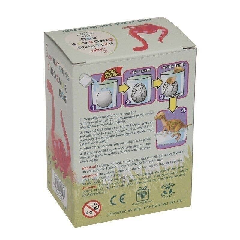 Rex B2B - UK - Hatch Your Own Dinosaur Egg