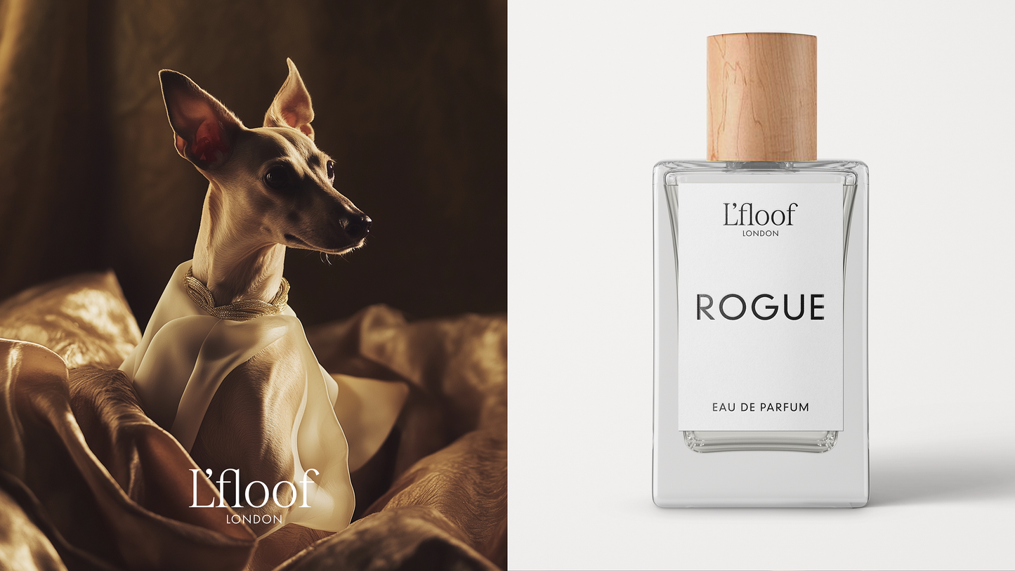 L'floof - Dog Perfume Fragrance Spray - 100ml - L'floof ROGUE
