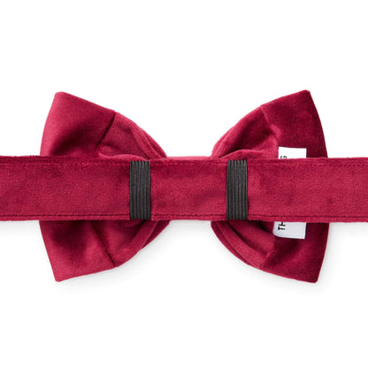 The Foggy Dog - Burgundy Velvet Valentine's Day Dog Bow Tie