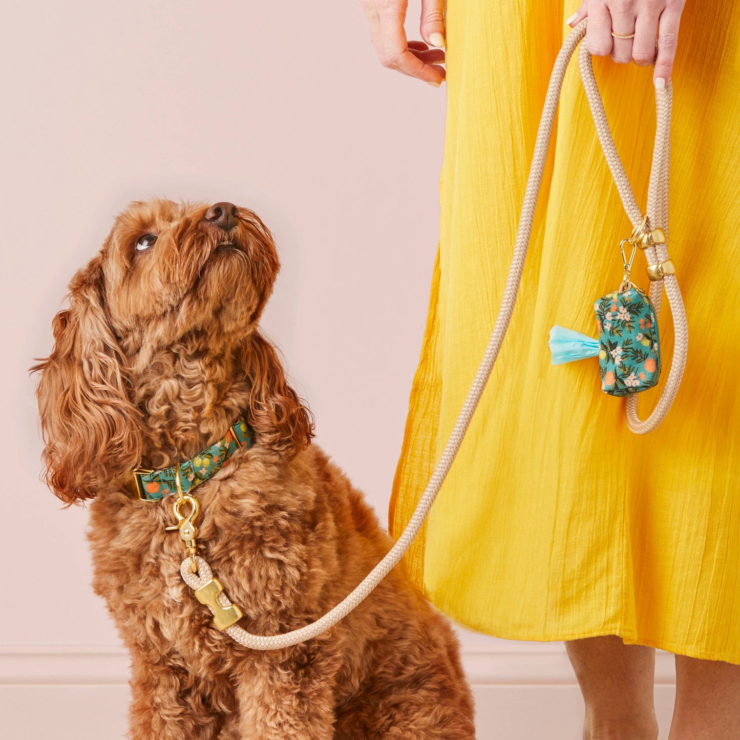 The Foggy Dog - Rifle Paper Co. x TFD Citrus Floral Poop Bag Dispenser