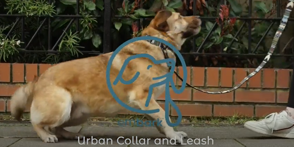 Embark Pets - Urban Dog Lead - Aztec