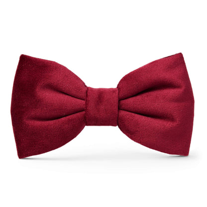 The Foggy Dog - Burgundy Velvet Valentine's Day Dog Bow Tie