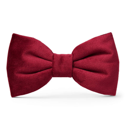 The Foggy Dog - Burgundy Velvet Valentine's Day Dog Bow Tie